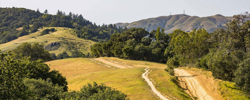 Nature as Medicine: Why Time Outside Boosts Mental Health
