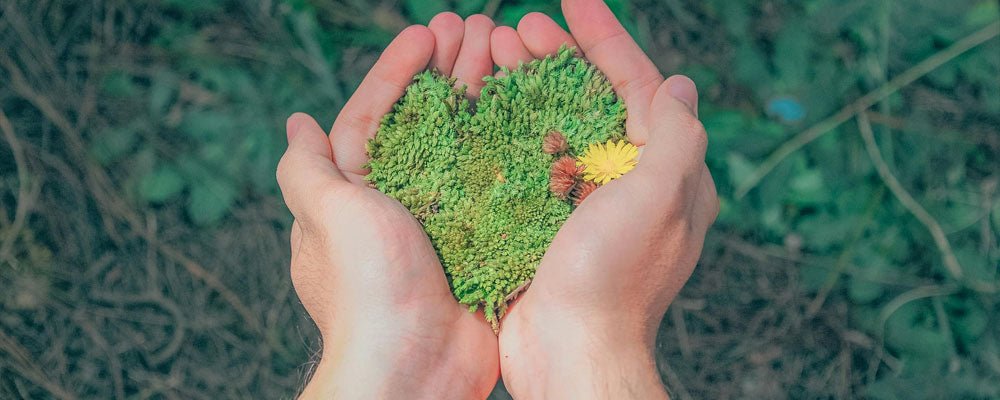 The Connection Between Sustainability and Mental Well-Being - We are kind - by Cromatiko